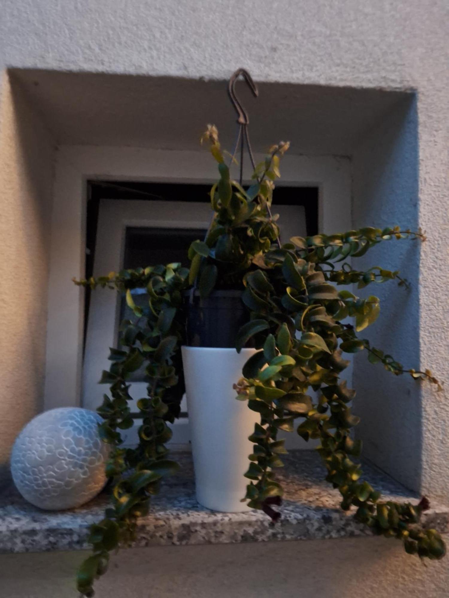 Studio Apartmani Louis I Lola Zagreb Exteriör bild